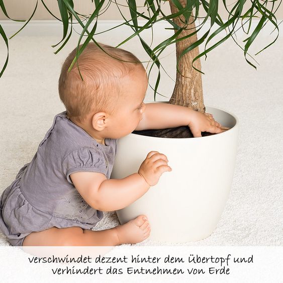 Reer Pflanzenschutznetz 30 cm - Schwarz