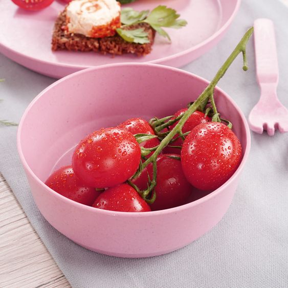 Reer Schale 2er Pack Growing aus nachhaltigen Rohstoffen - Rosa