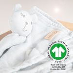Product Image-2