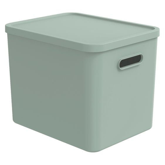 Rotho Babydesign Aufbewahrungsbox L Kayo 27 l - Sage Green