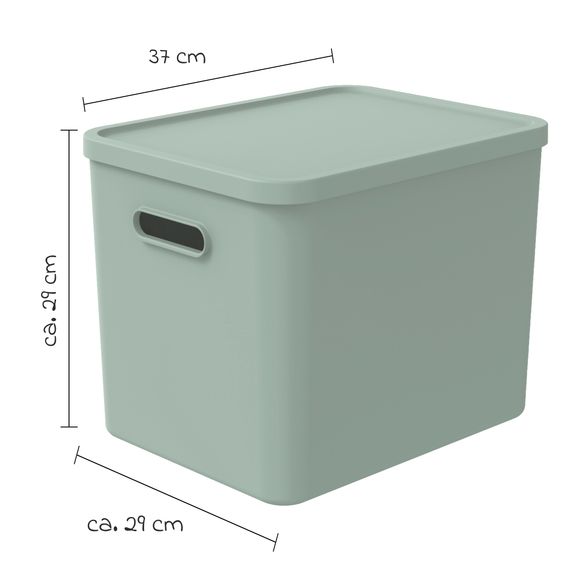 Rotho Babydesign Aufbewahrungsbox L Kayo 27 l - Sage Green