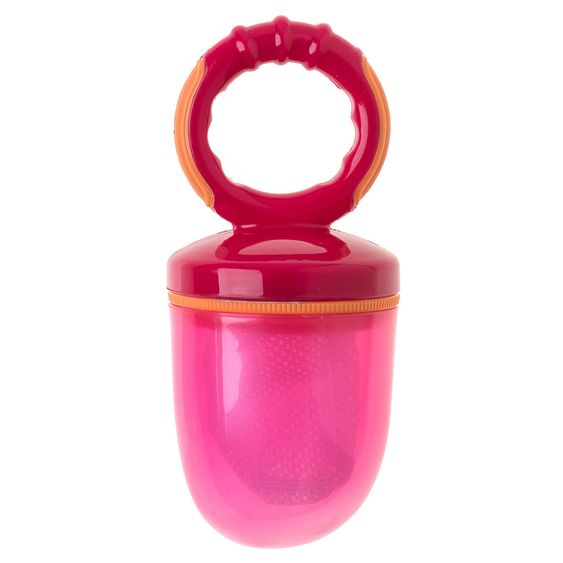 Rotho Babydesign Fruchtsauger Modern Feeding - Raspberry Mandarine