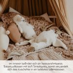 Produktbild-5
