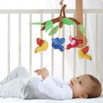 Product Image-4