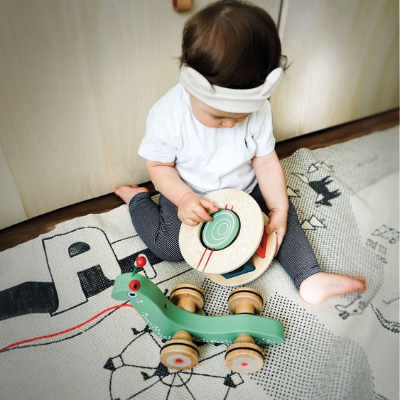 small foot 7-piece Pull-along Peg Animal Snail Walker and Motor Skills Toy - Colourful