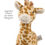 Photo du produit-4