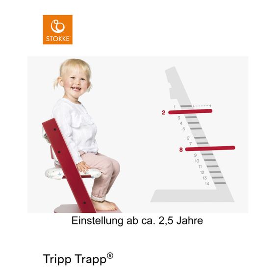 Stokke Mitwachsender Treppenhochstuhl Tripp Trapp® Buchenholz lackiert - White / Weiss