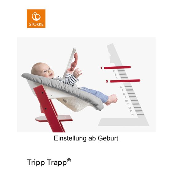 Stokke Tripp Trapp® Natur Newborn Set - Hochstuhl + Neugeborenenaufsatz (verstellbar) Grey