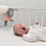 Product Image-4