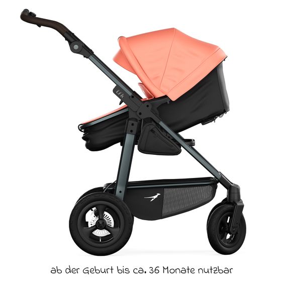 TFK Combi baby carriage Mono 4 pneumatic tires incl. combi unit (carrycot+seat) with reclining position & XXL accessory pack - salmon