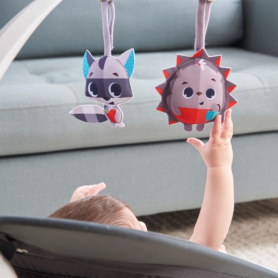 Tiny Love Swing SNAB Bounce & Sway