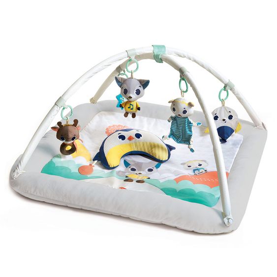Tiny Love Play blanket Gymini Plush - Polar Wonders