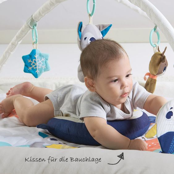 Tiny Love Play blanket Gymini Plush - Polar Wonders