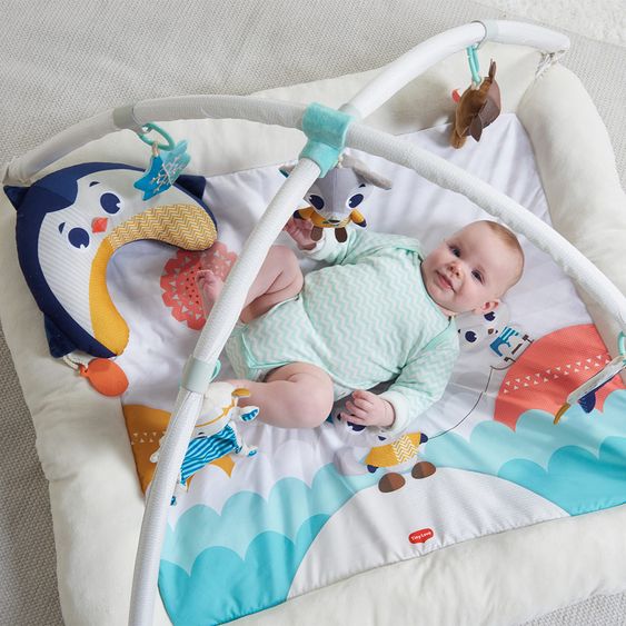 Tiny Love Play blanket Gymini Plush - Polar Wonders
