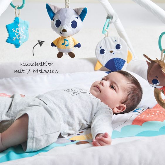Tiny Love Play blanket Gymini Plush - Polar Wonders