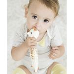 Product Image-12