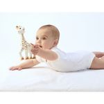 Product Image-10