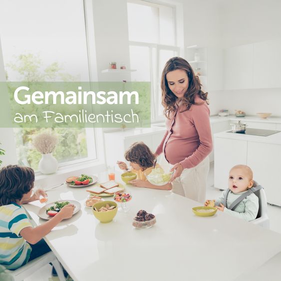 Zamboo Hochstuhl - im Sparset inkl. Sitzverkleinerer