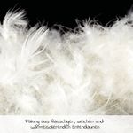 Product Image-7