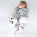 Product Image-3