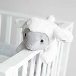 Product Image-4